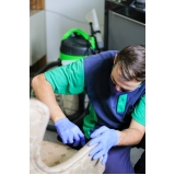 limpeza profissional de estofado Zona 3 limpeza profissional de estofado Zona 3